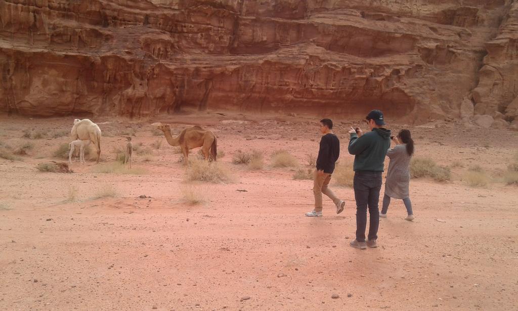 Wadi Rum Light Camp المظهر الخارجي الصورة