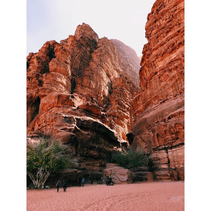 Wadi Rum Light Camp المظهر الخارجي الصورة